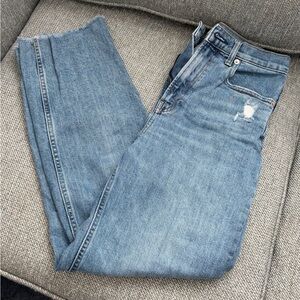 Everlane The Way High Jean Organic Cotton